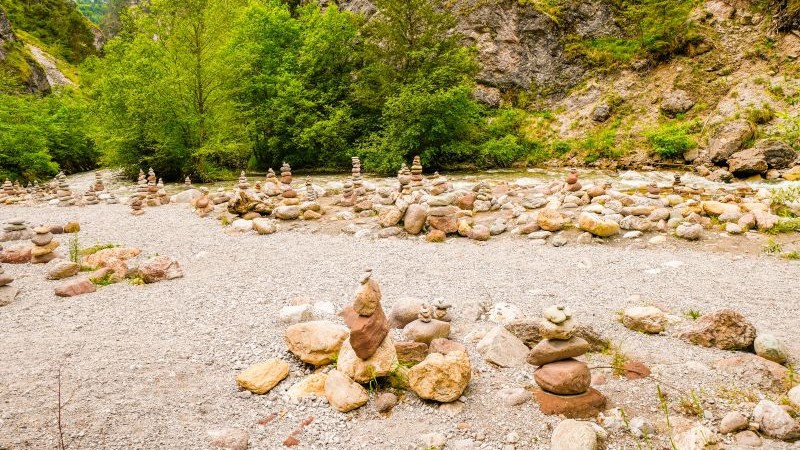 Udflugt 1: Introduktionstur (inkl. frokost)